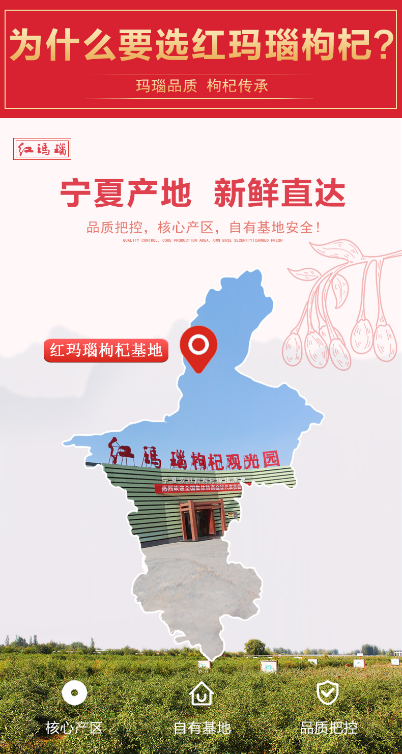 红玛瑙 宁夏特级免洗枸杞 250g*2袋 图10