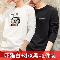 Напуганная кошка белая+маленькая x черная