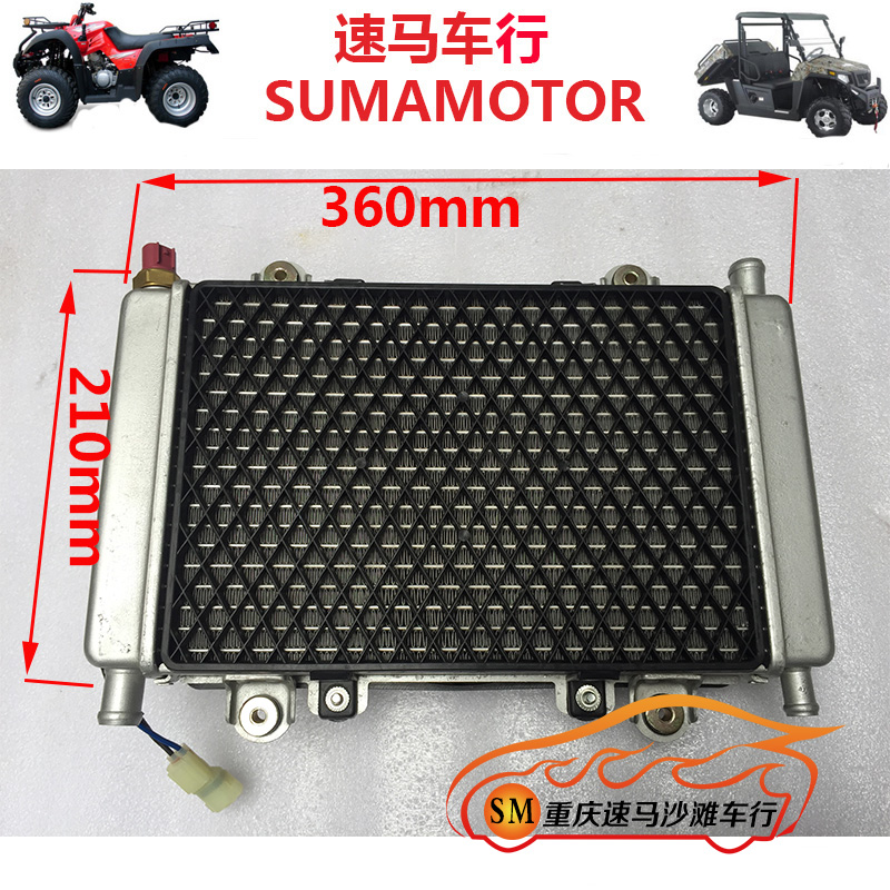 250 beach car modified loading steel tube car rattlesnakes food man fish converted to loading water tank