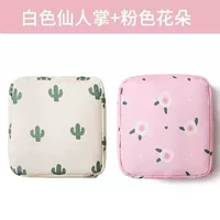 Fairy Palm_pink Flowers