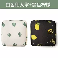 Fairy Palm_ Black Lemon