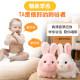 Rabbit Talking Electricing Plush Toy Baby Doll Little White Rabbit Singing and Dancing Doll ເດັກຊາຍ ແລະເດັກຍິງ