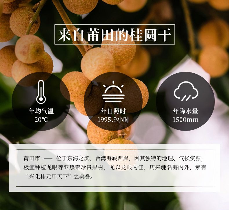 蓬源真 6a大果 莆田桂圆干 500g*2袋 图1