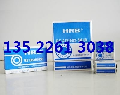 Harbin bearing HRB bearing NUP417EM 92417EH 85*210*52 fidelity