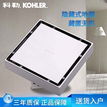 Kohler bathroom hardware accessories Kohler floor drain hidden floor drain K-R75422T