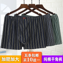 5 Mens flat - foot underwear pure cotton high - waist ultra - large flat corner shorts of middle - aged and elderly