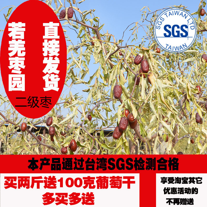 Xinjiang special produce small grey dates No Add to Qiaqiang red dates Pregnant Women Children Snack Nutrition Casual Snack 500 gr