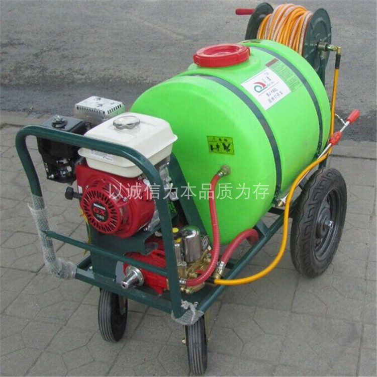 Push-style spraying machine 100 raised pressure agricultural garden Petrol Pesticide Sprayer multiple models Greening