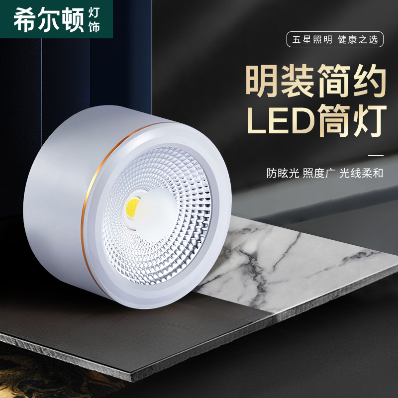 Hilton Minming cartridge lamp led ultra-thin ceiling lamp walkway light corridor lamp round hole-free spot light suction top lamp