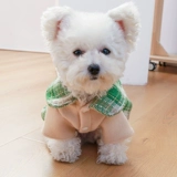 Домашний плюшевый медвежь