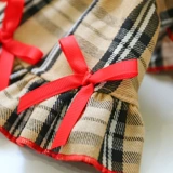 Одежда для щенков осенью и зимнее классическое клетчатое платье плюшевая бим -бим боменг кошка Новая годовалая одежда