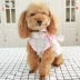 Quần áo thú cưng Teddy Bomeibi gấu chó nhỏ áo chó con chó mùa hè quần áo nơ bột mùa xuân và quần áo mùa hè - Quần áo & phụ kiện thú cưng áo mưa cho chó Quần áo & phụ kiện thú cưng