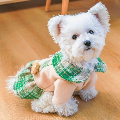 Домашний плюшевый медвежь