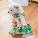 Домашний плюшевый медвежь