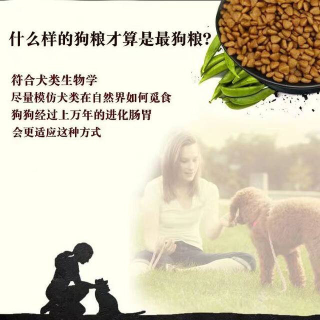 ອາຫານຫມາ freeze-dried ບັນຈຸພັນຂະຫນາດໃຫຍ່ 10 kg 40 kg ຫມາພື້ນເມືອງ Teddy Golden Retriever ຂະຫນາດໃຫຍ່ຂະຫນາດນ້ອຍຫມາຜູ້ໃຫຍ່ puppy ອາຫານຫມາຜູ້ໃຫຍ່