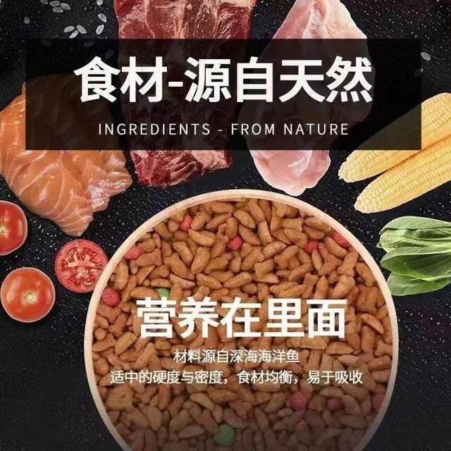 ອາຫານແມວທົ່ວໄປ 5 kg 10 kg marine salmon baby cat food big bag adult cat stray cat main food pet 1 kg