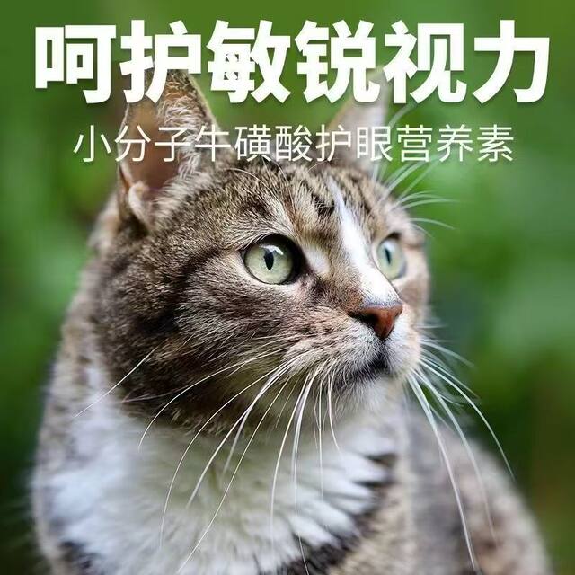 ອາຫານແມວທົ່ວໄປ 5 kg 10 kg marine salmon baby cat food big bag adult cat stray cat main food pet 1 kg