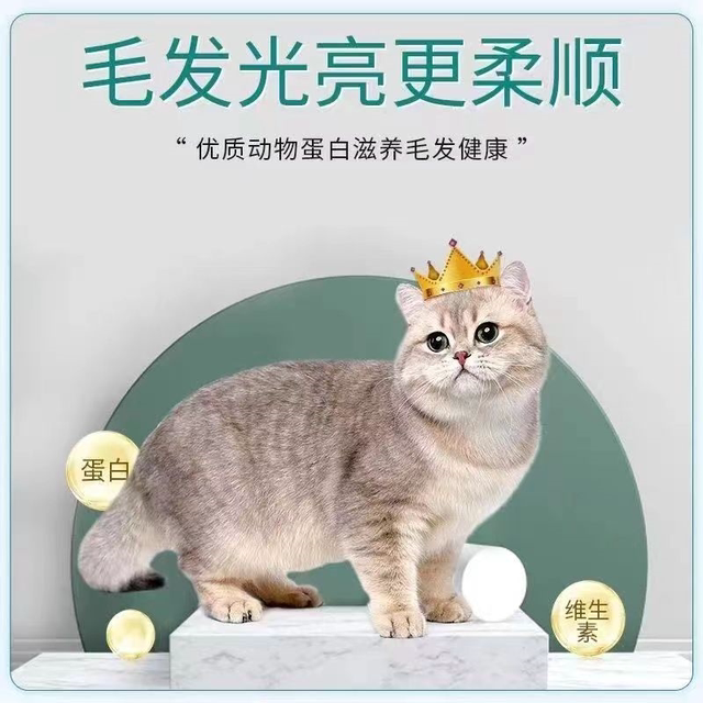 Cat snacks freeze-dried big bag kitten universal food universal blue cat British short 5 pounds 10 pounds domestic cats wholesale fattening