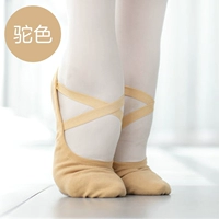 Верблюд (полная эластичная танцевальная обувь)