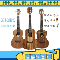 Nices Full Single Ukulele NC NT100 NC NT200 NC NT300 NC NT130 Electric Box