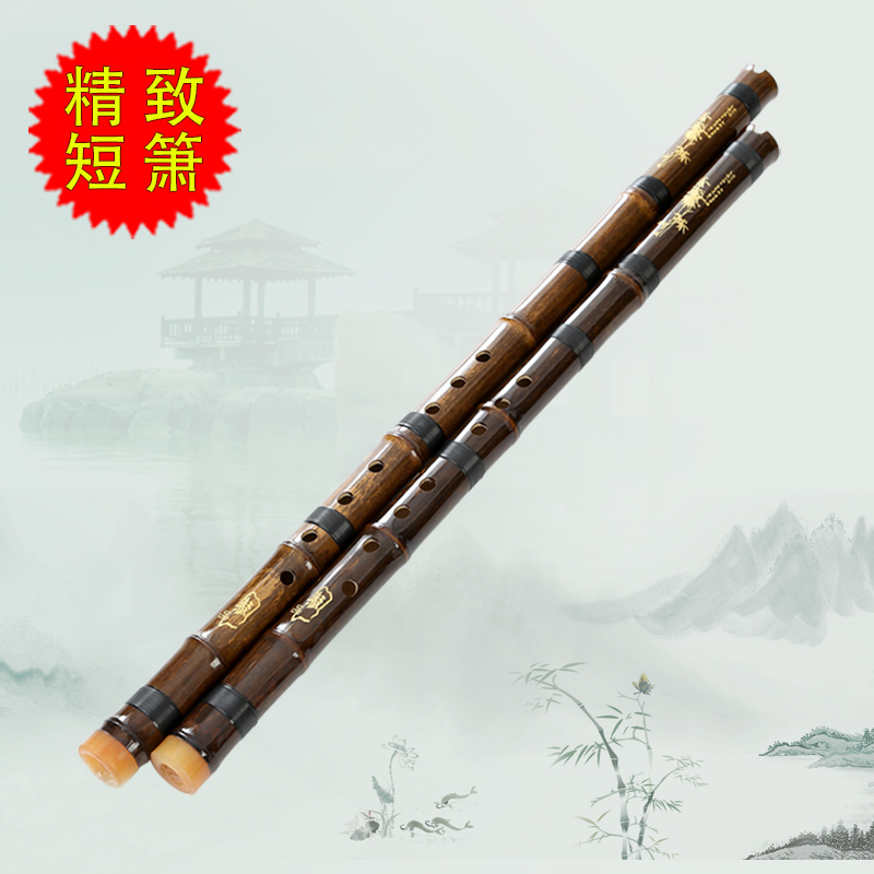 A section Zizhu Xiao professional hole Xiao Refined quaint bamboo Xiao F tone G tone Beginner introduction Adult Short Xiao Zhenpin musical instrument