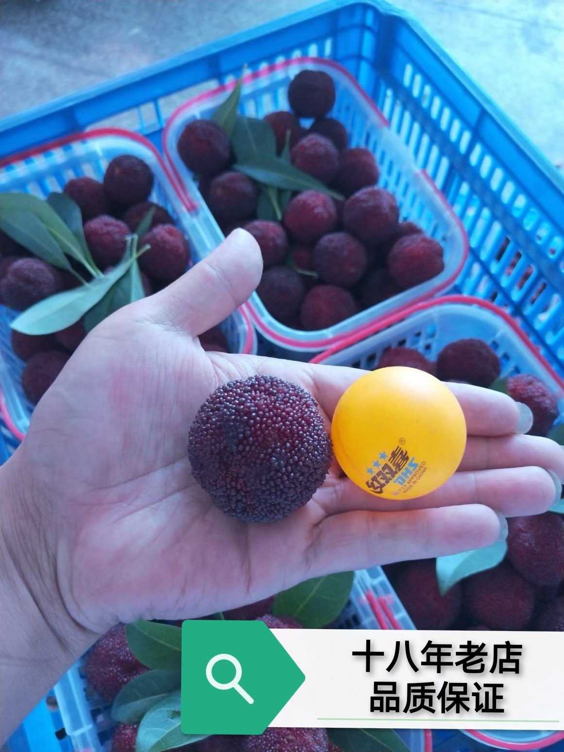 边缘的美丽女人