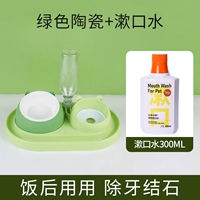 [Группа 3] Модель ртаного рта+зеленая керамическая модель (удаление камней после еды)