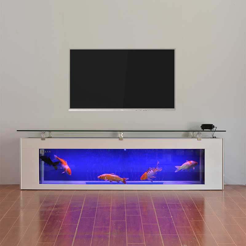 [USD 262.86] TV fish tank aquarium living room with ultrawhite