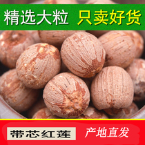New goods Selected large particles with core red lotus seeds dry goods 500g super powdered glutinous sulfur-free easy-to-cook wild red lotus seeds