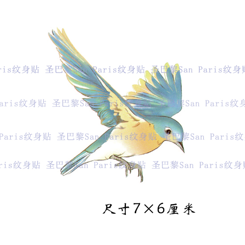 South Korea S Small Fresh Hand Painted Chest Color Bird Tattoo Small Fresh Hand Painted Chest