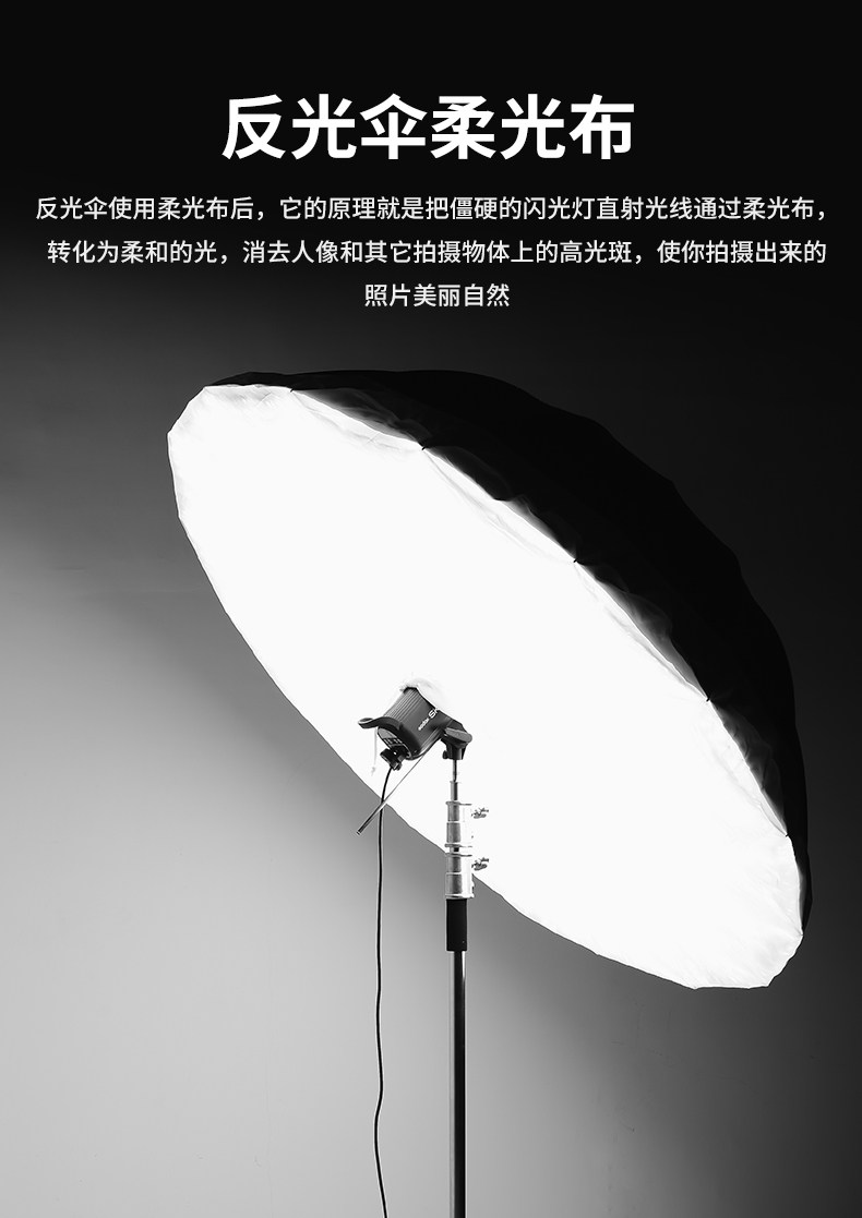 790_01.jpg