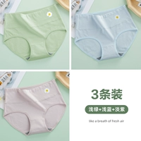 3-световой синий+светло-зеленый+светлый фиолетовый