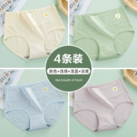 Светло -голубой+светло -зеленый+цвет кожи+светло -фиолетовый