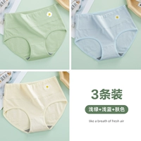 3-освещенный синий+светло-зеленый+цвет кожи