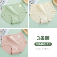 3-освещенный зеленый+цвет кожи+паста из бобов