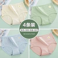 Светло -голубой+светло -зеленый+тон кожи+паста из бобов