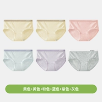 [Модель благосостояния Class A Baby 6 Pack] Желтый + желтый + розовый + синий + фиолетовый + серый