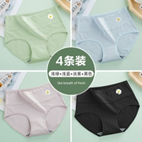 Светло -зеленый+светло -голубой+светло -фиолетовый+черный