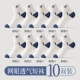 [10 Double Instal] Polar White 10