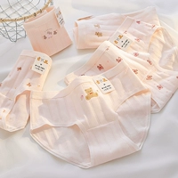 【Упаковка из 5 штук】Розовый медведь