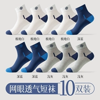 [10 двойной посадок] Полярная белая 4+ Deep Blue 3+ Light Sery 3