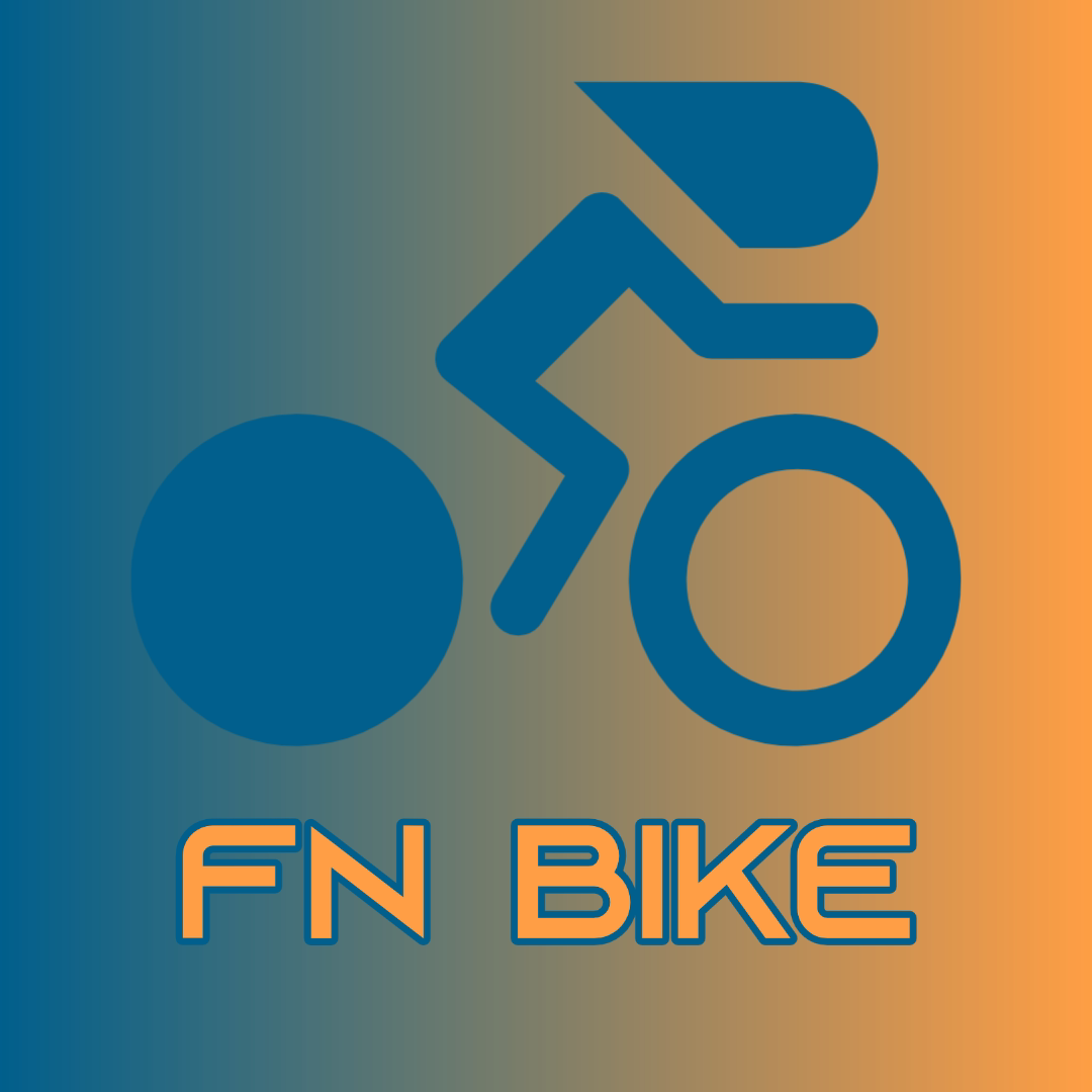 丰鸟Bike企业店