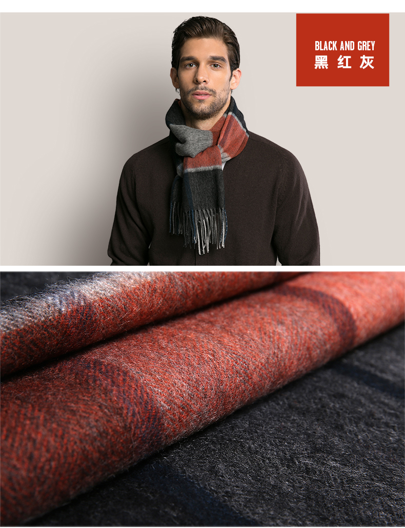 Echarpe pour homme en Laine - Ref 3161261 Image 14