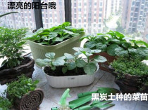 Nutrient soil black soil slow release fertilizer flower fertilizer shu cai fei vegetables flowers fertilizer