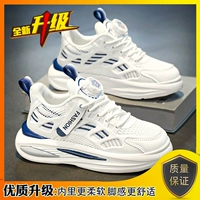 Белый морской синий 【Основное обновление изображения】