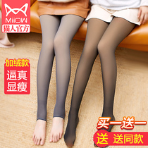 Cat man fake meat pantyhose stewardess gray stockings female spring and autumn thin velvet leggings