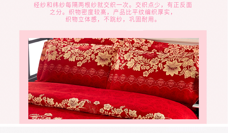 Cotton twill dày chà nhám giường tầng váy bốn mảnh bộ đồ giường bộ chăn ga gối đệm giảm giá