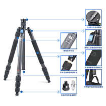 Sirui W2204 tripod carbon fiber lamp stand climbing stairs climbing trip reverse folding one-legged shooting tripod