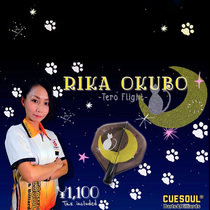 CUESOUL Q獣Japanese Okubo Lijia professional competition AK4 spring rotating flying standard tail darts accessories