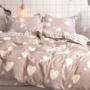 Chăn bông sinh viên độc thân ký túc xá 200x230 chăn đôi 1,5m1,8 m 2.0m tấm cát nhám trẻ em - Quilt Covers chăn phao